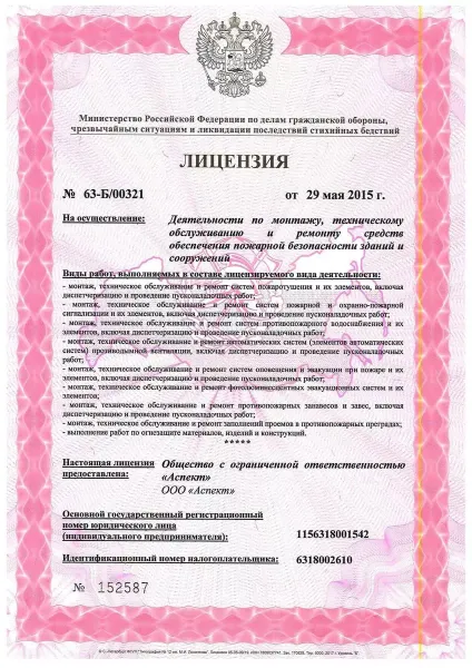 Лицензия компании 3